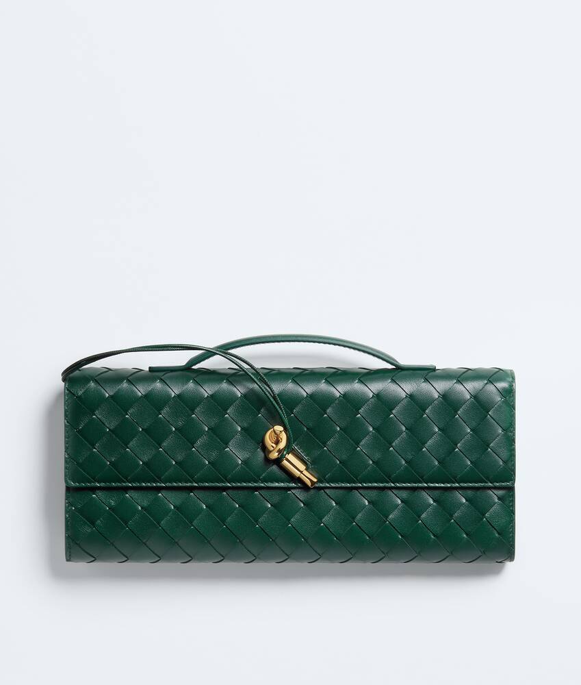 Bottega Veneta Andiamo clutch