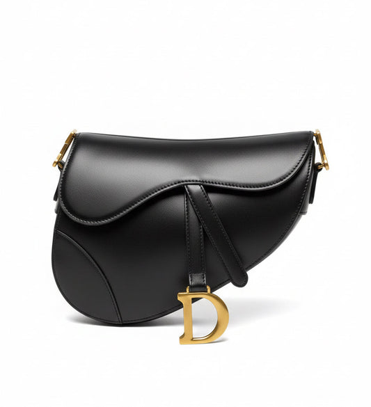 Front view of Christian Dior Saddle on white background.