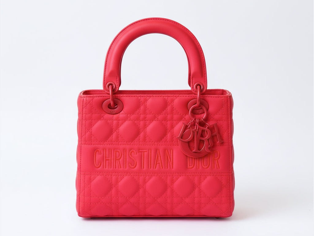 Lady Dior 25 cm