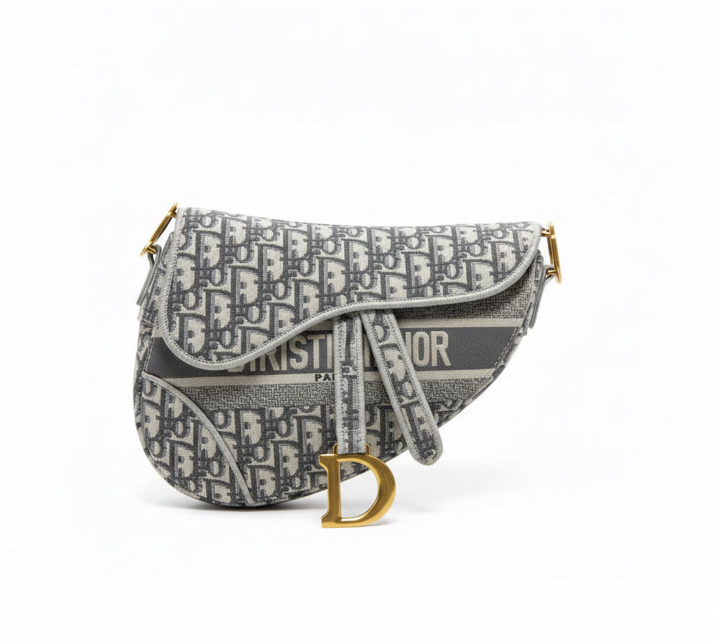 Christian Dior Saddle